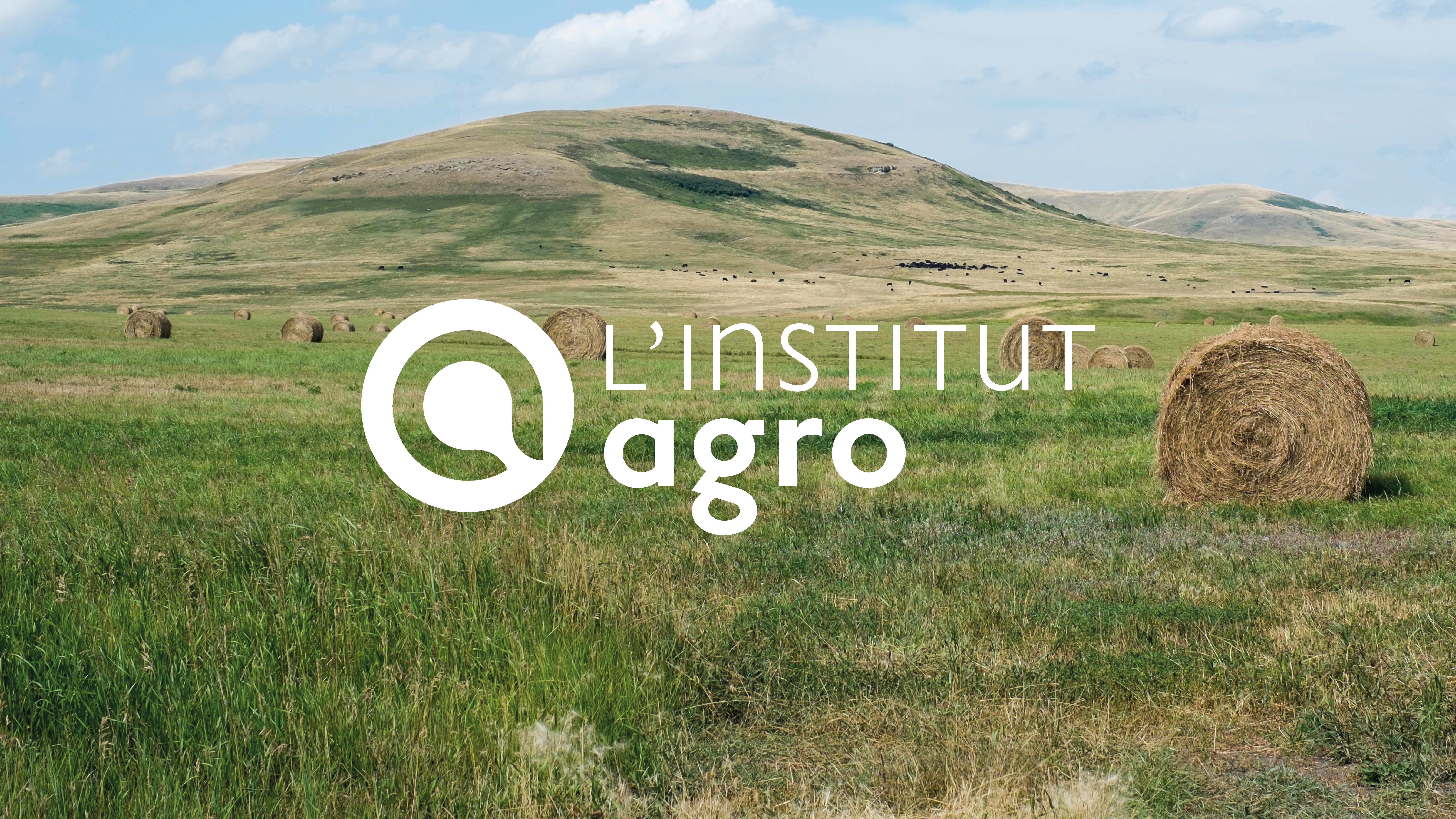 Un logo plein de vie pour l’Institut Agro